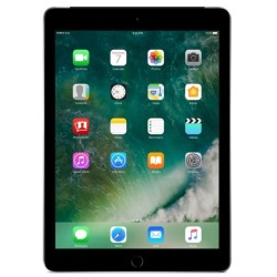 iPad 32GB Space Grey - B grade - Licht gebruikt